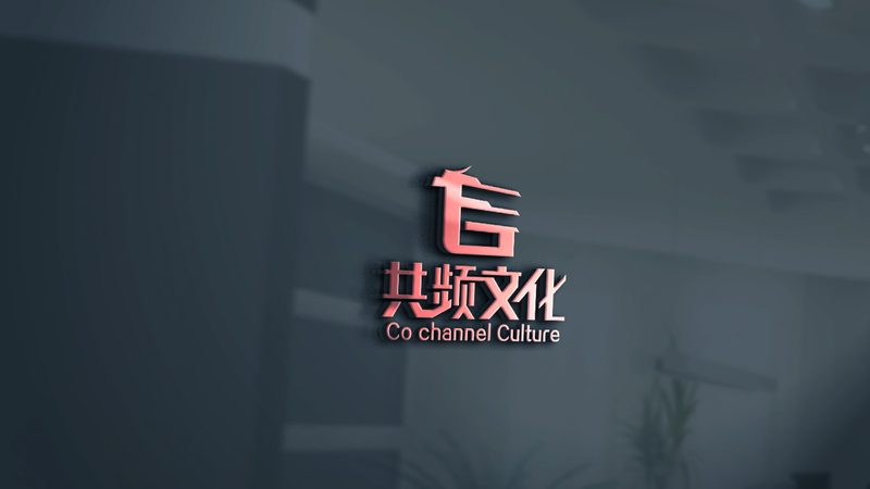 上海传媒公司定制化服务