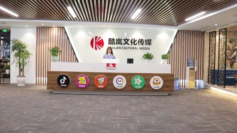 媒介投放岗位职责详解：从策略制定到效果评估