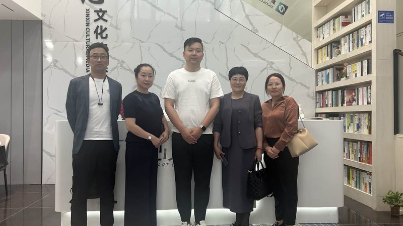 纪录片拍摄器材：如何选择合适的厂家直销定制方案**