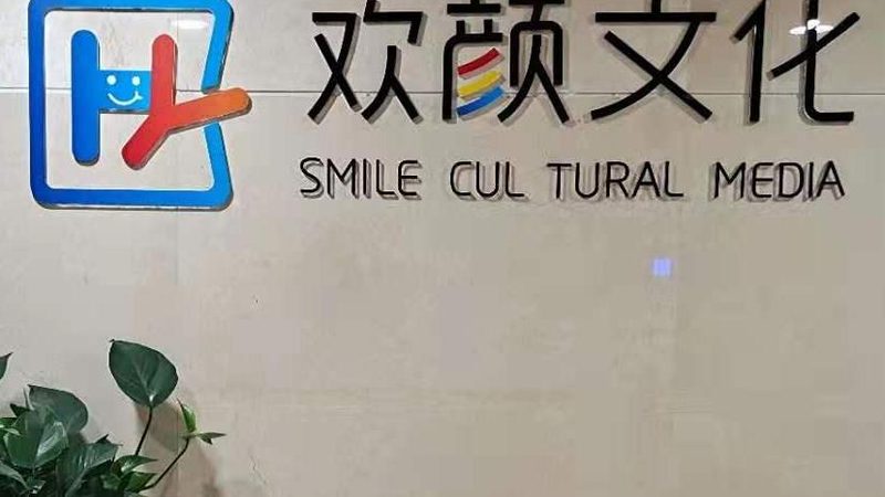成都影视制作公司排名前十，揭秘优质内容背后的秘密