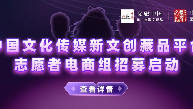 品牌策划方案模板下载